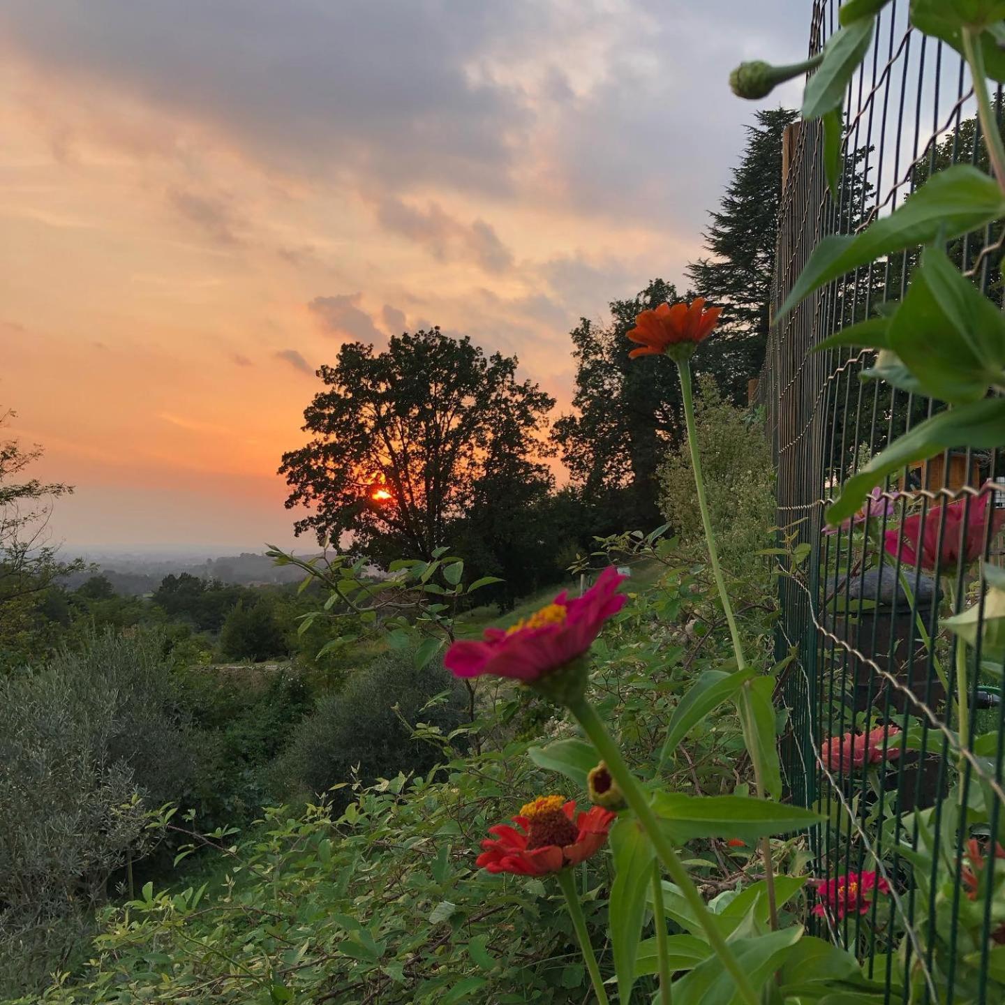 La Casita Eco Country House Bed & Breakfast Faedis Екстериор снимка